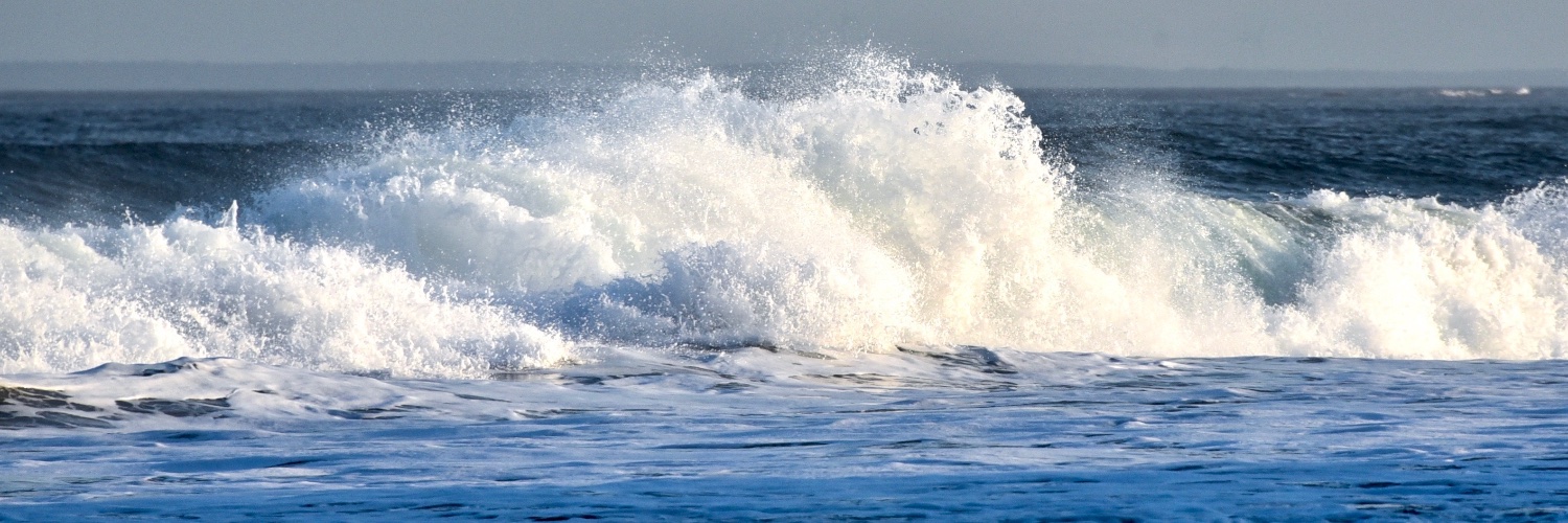 Michell27326860's profile banner image