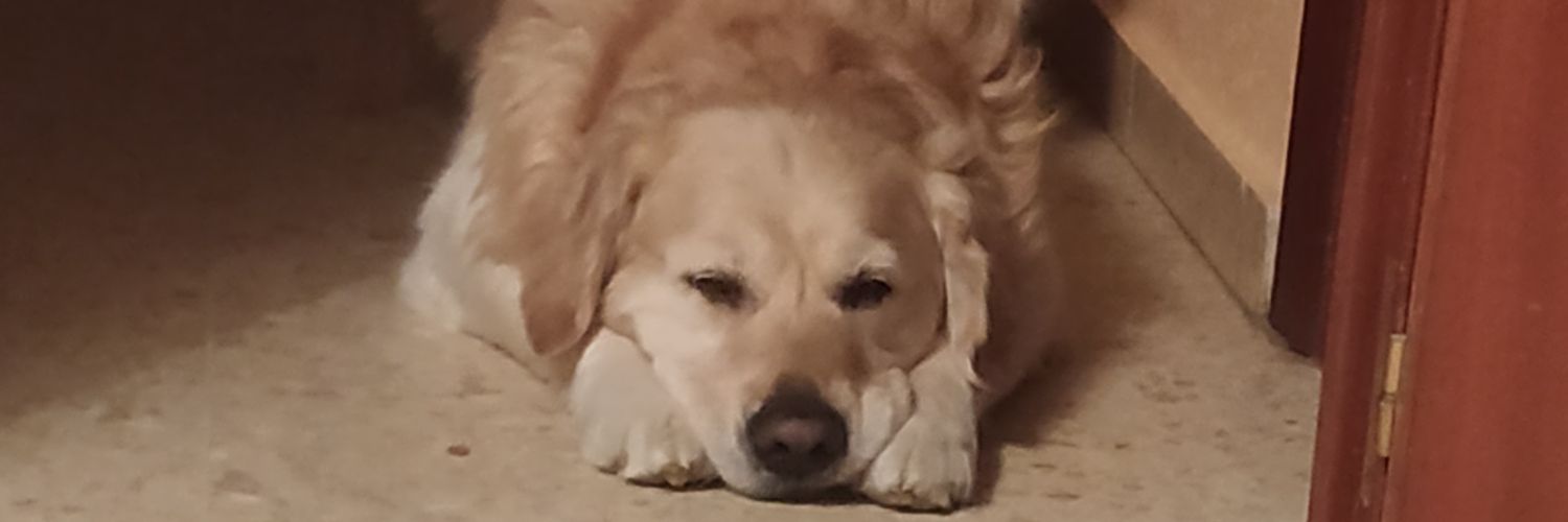germaniko09's profile banner image