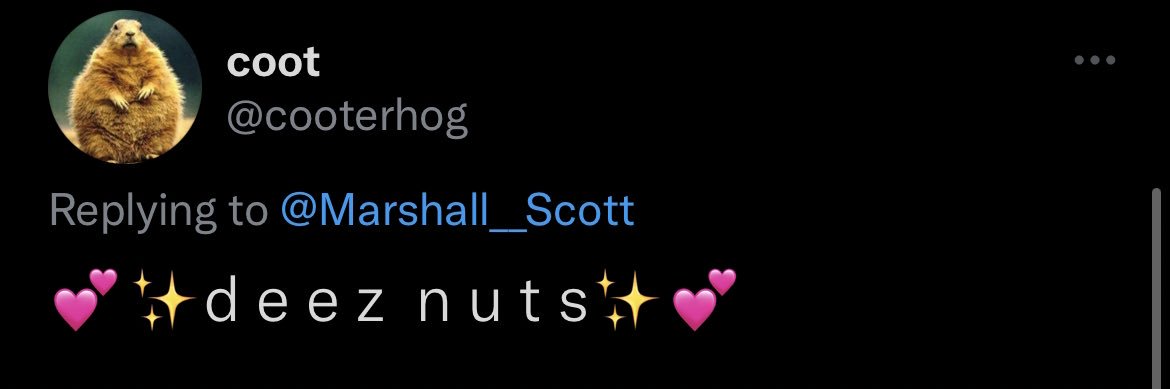 Marshall Scott's banner