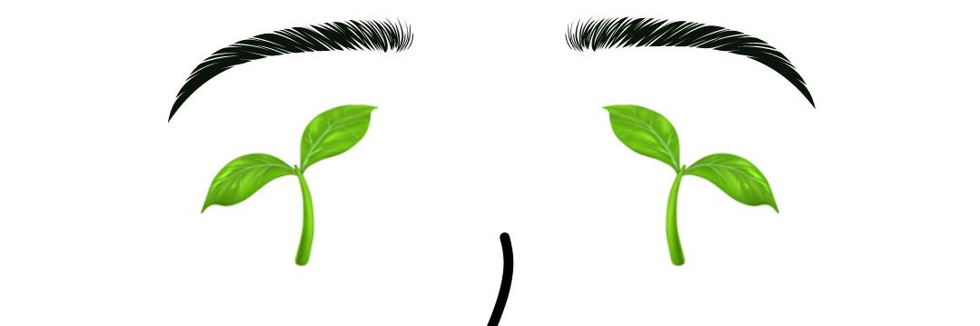 anon.xch 🌱 banner