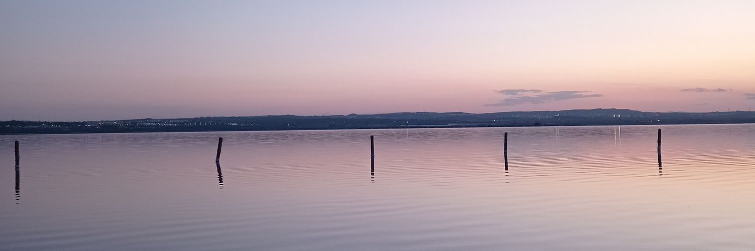 TaniaArenas8's profile banner image