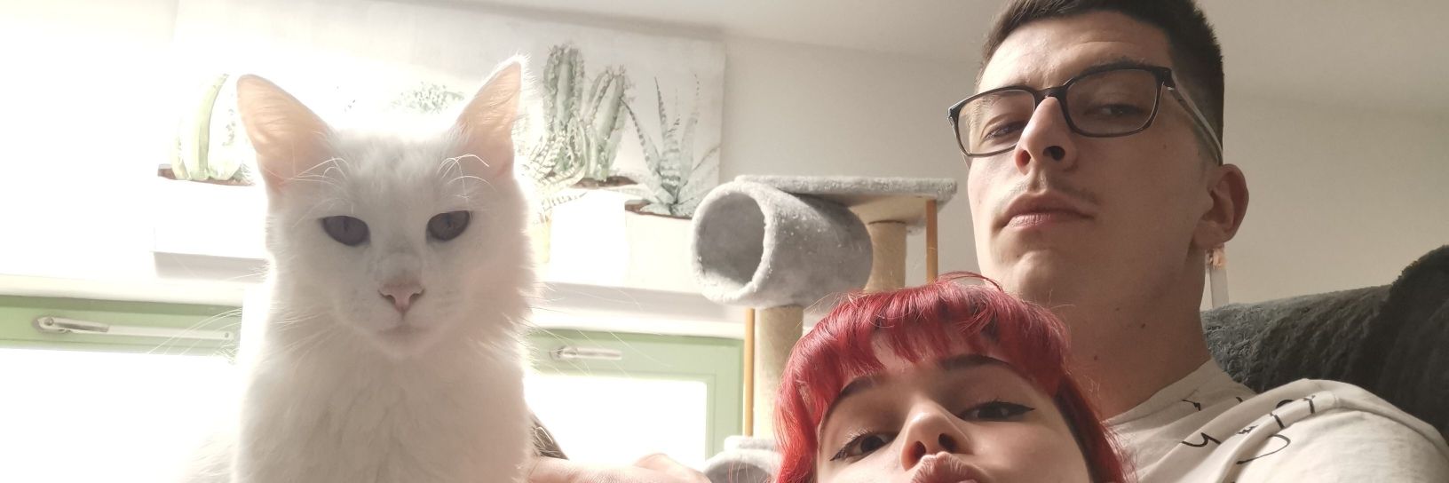 Mamariion49's profile banner image