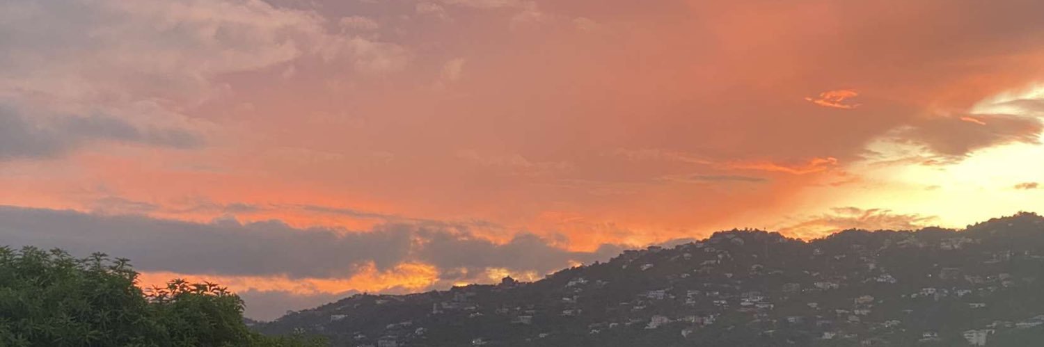 JayIndigo__'s profile banner image