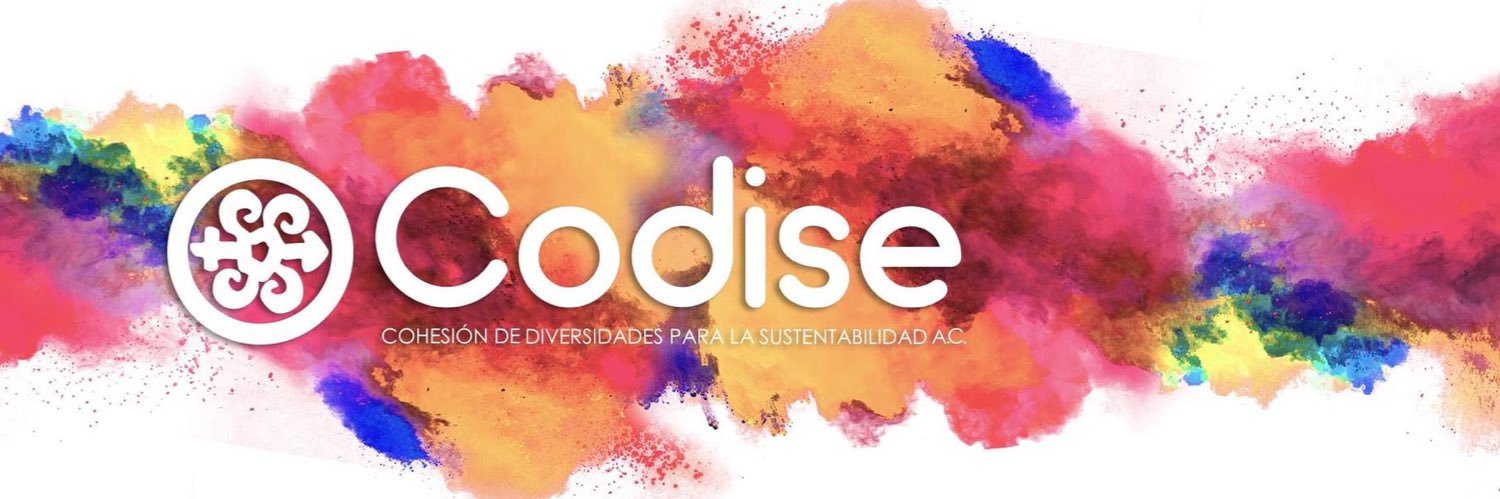 CODISE A.C.'s banner