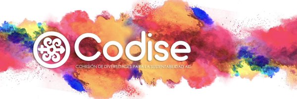 CODISE_AC Profile Banner