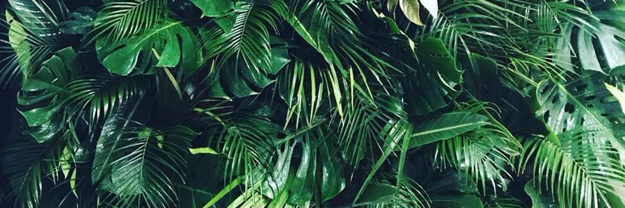 lucamelilli's profile banner image