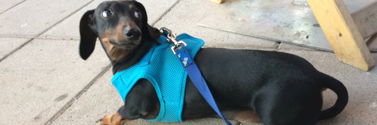 Paula Valenzuela banner