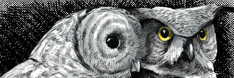 quillxcx's profile banner image