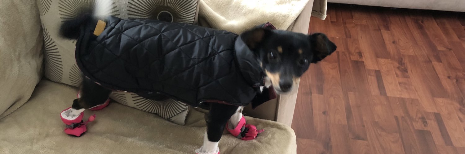 Chris Elmore, CPA banner