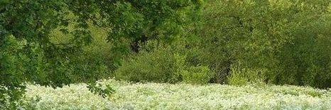 shae gamtenk 🦖 | 𝗘𝗡𝗛𝗬𝗣𝗘𝗡 𝗜𝗦 𝟳 banner