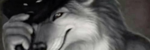kim0 banner