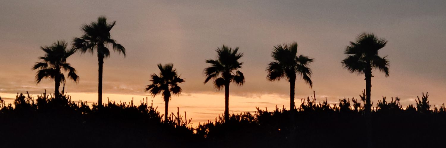 🌺SUN度の飯とサーフィンと日焼けが好き🌺 banner