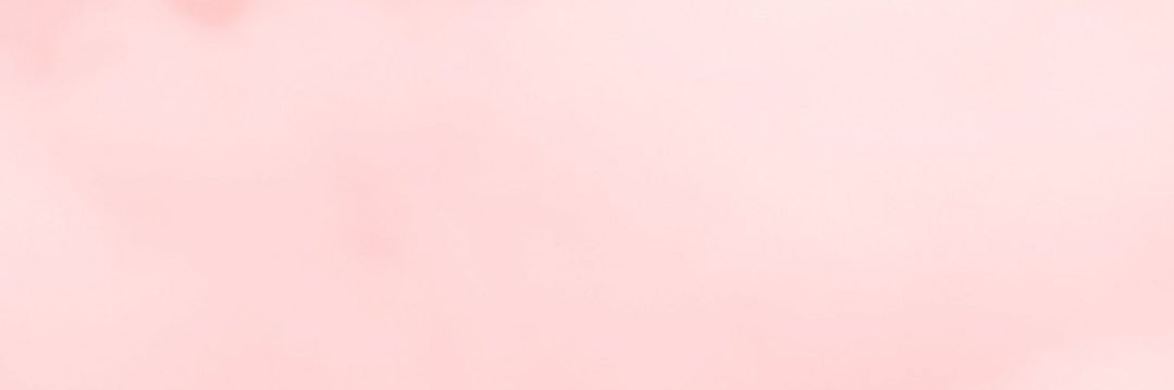 VivianZenteno13's profile banner image
