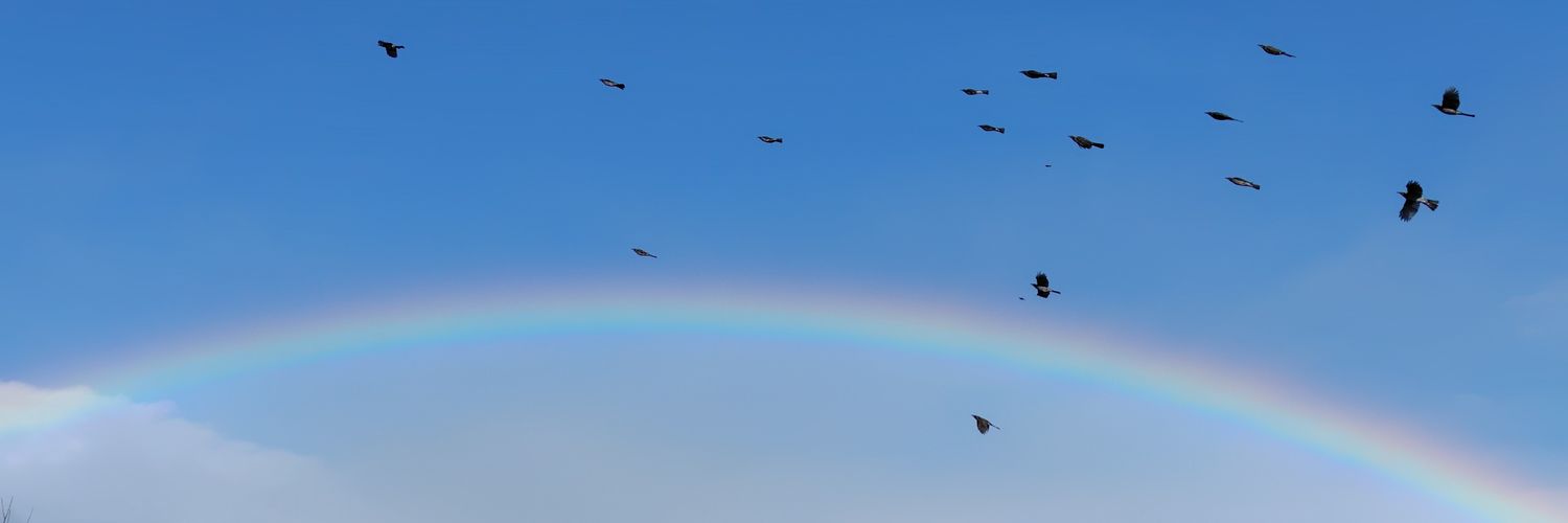 お兄ちゃん【旧式】 banner