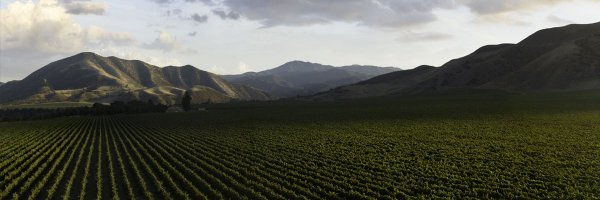 hahnwines Profile Banner