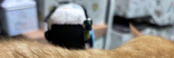 nako0019 Profile Banner