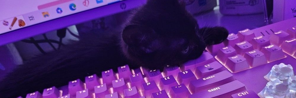 lexiwisp's profile banner image