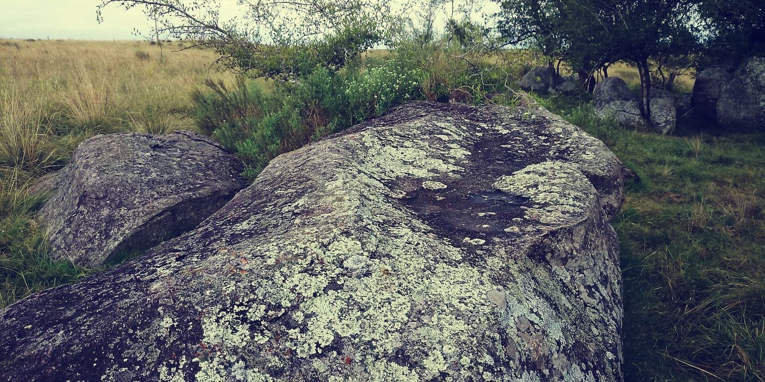 abr2407's profile banner image