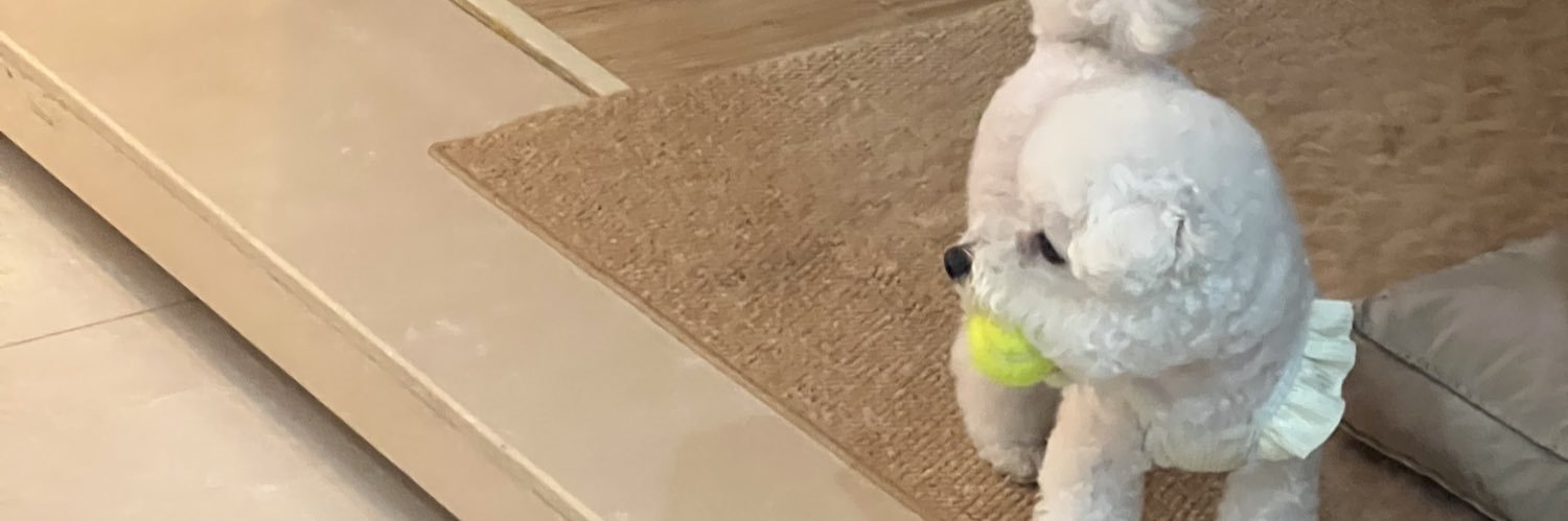 亚亚Rinkoooo🦭 banner