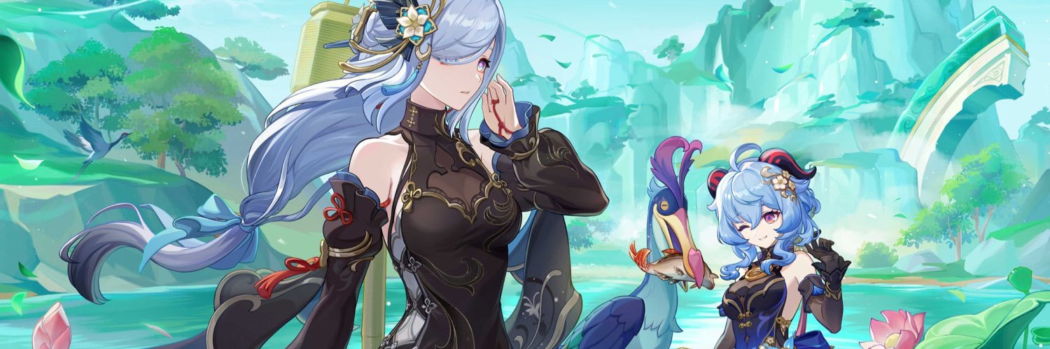 Rime banner