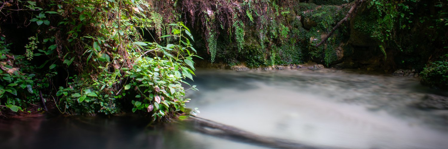 Braulio Assis banner