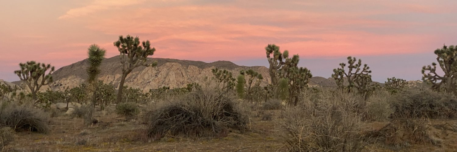 Alejandro Antonio Ruiz banner