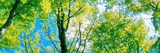 MoreUniver's profile banner image