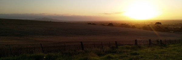 chriseddyexec Profile Banner