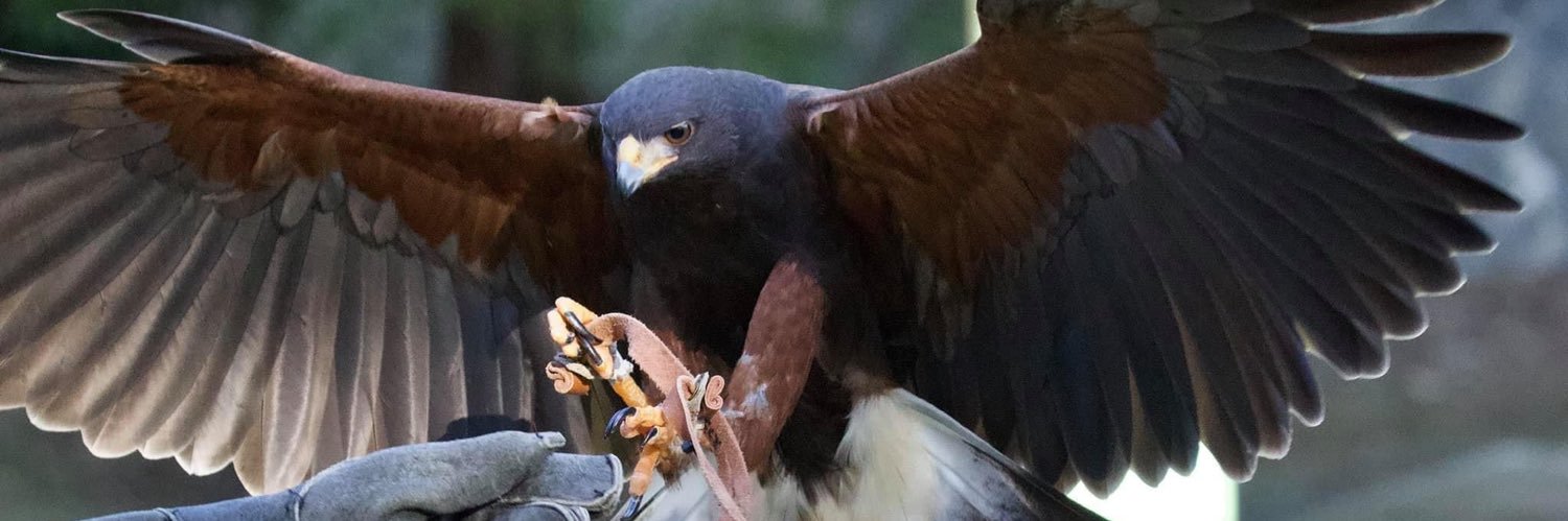 必撮のムッツリ banner