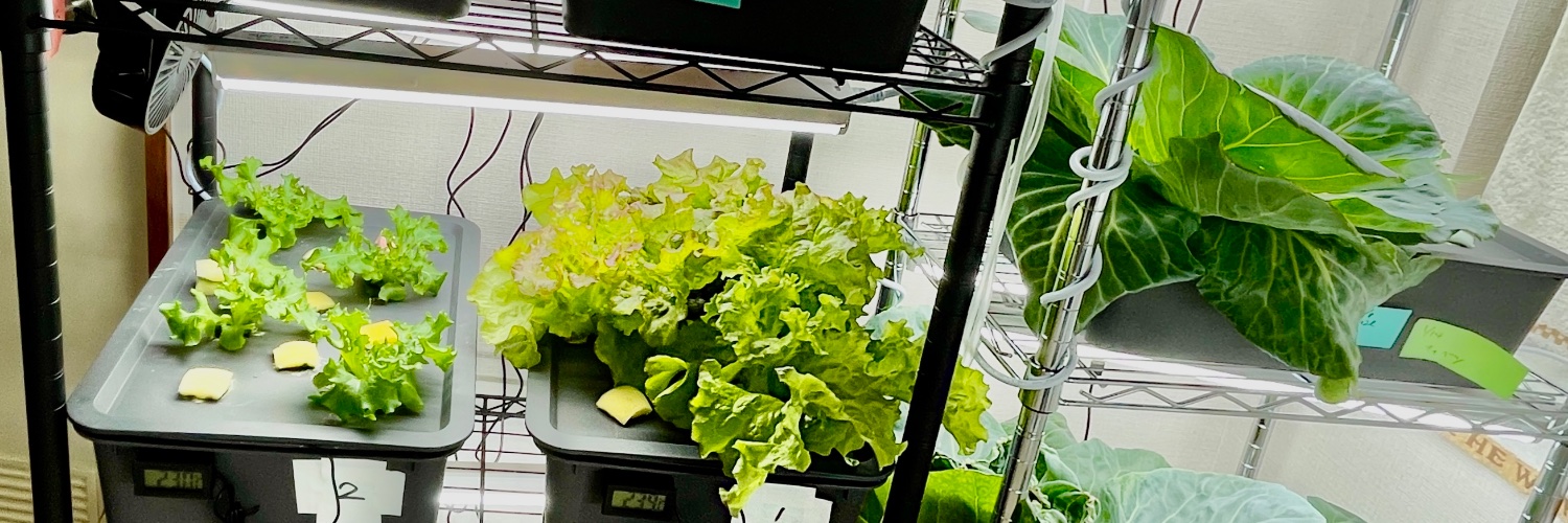 ムツミックス@技術書典 お09 banner