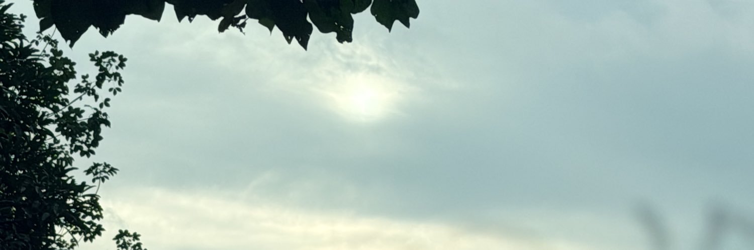 小彦X.Yan☀️交易Trader banner