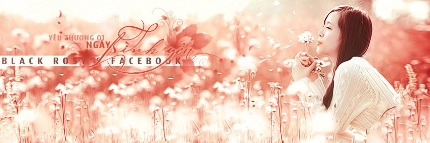 tranvanbuoi2's profile banner image