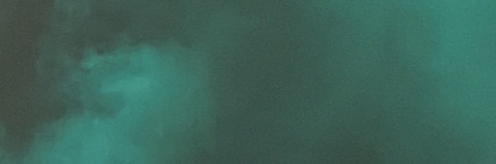 florliuzzo's profile banner image