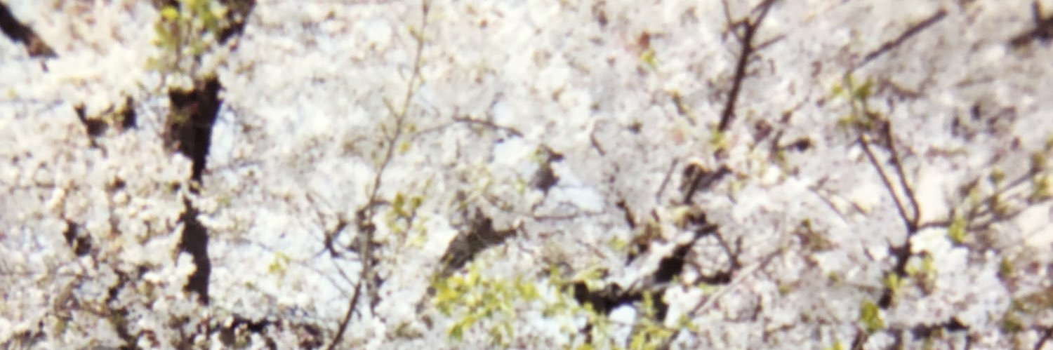 angechamama's profile banner image