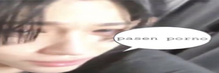 sude banner