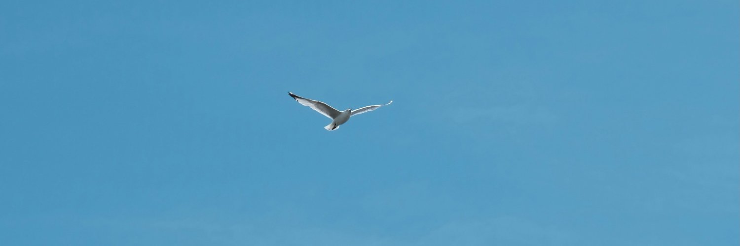 Benjamin Listwon banner