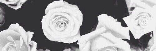 CaroReixachs's profile banner image
