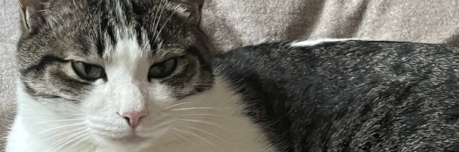 るーと（僕らはハシビロコウなど） banner