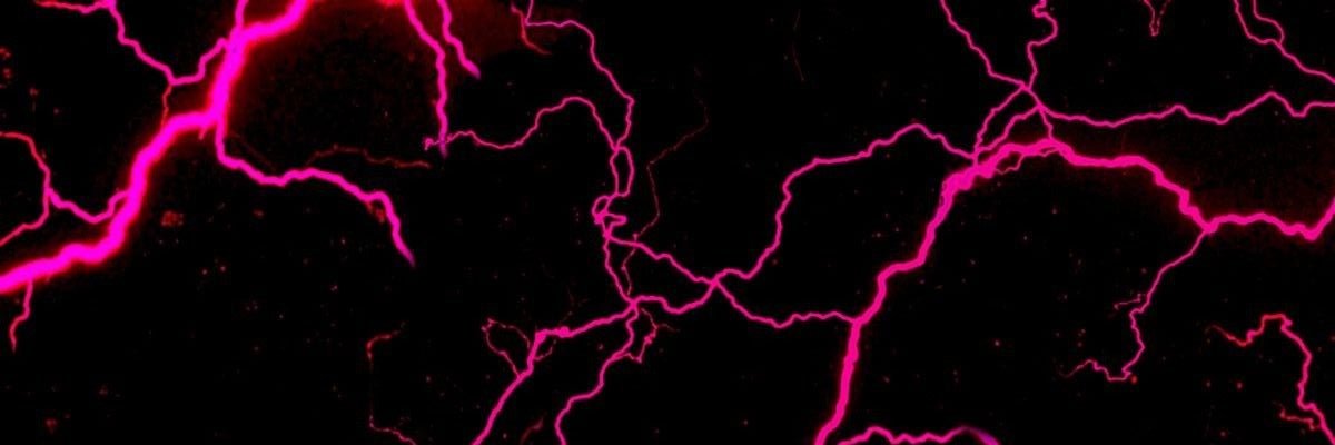 Laura_Upscale's profile banner image