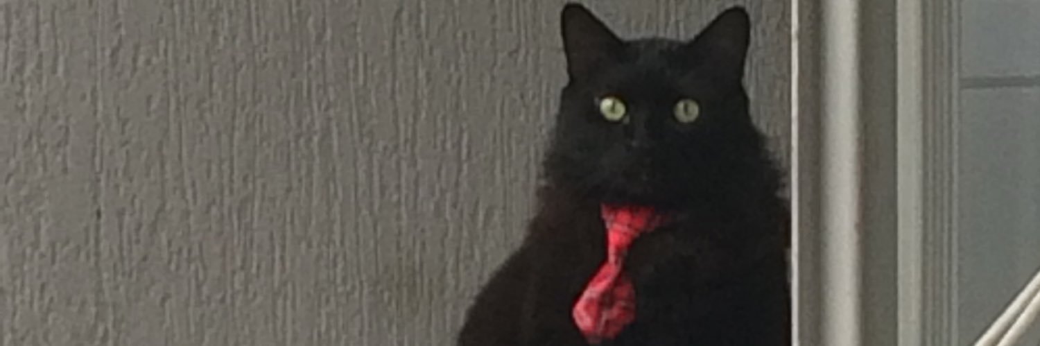 lucasantoniac's profile banner image