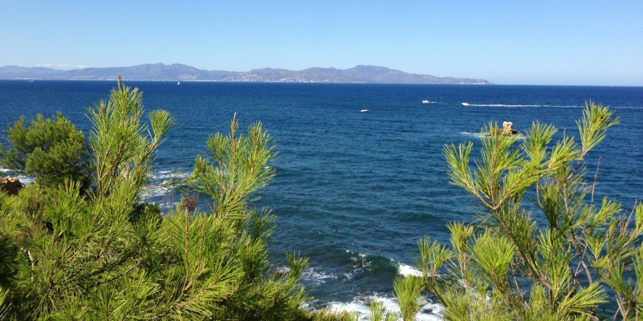 Héctor Coca Gros banner