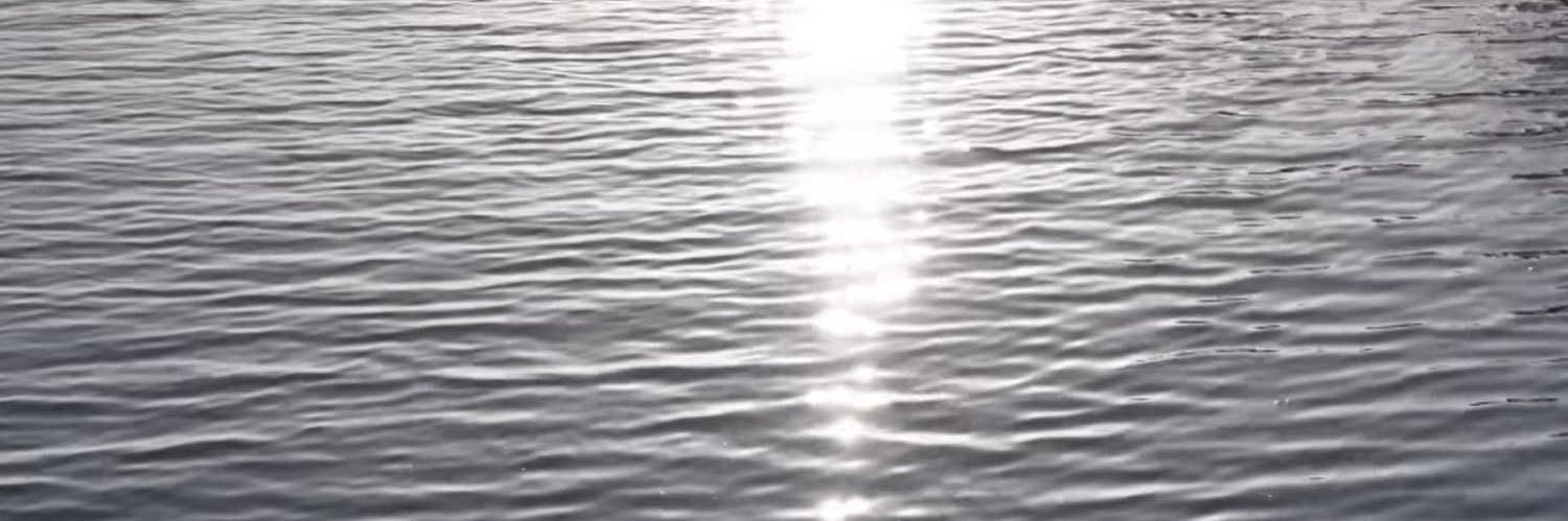 meer banner