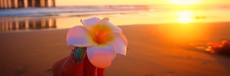 ume_na7's profile banner image
