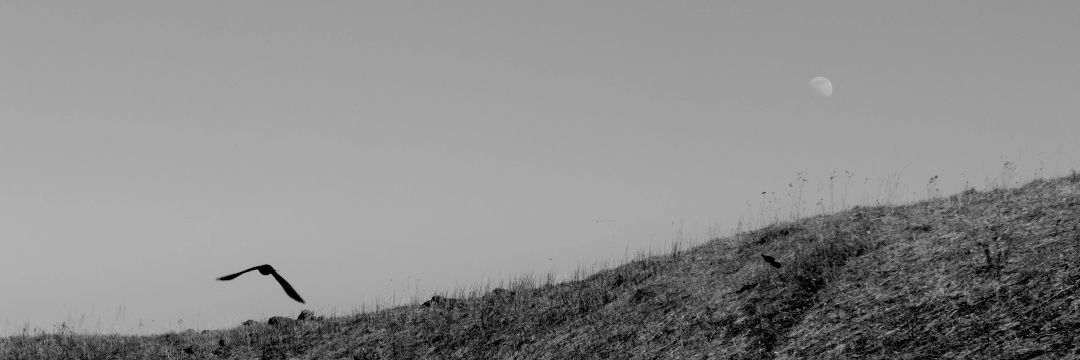 Ko_zlov's profile banner image