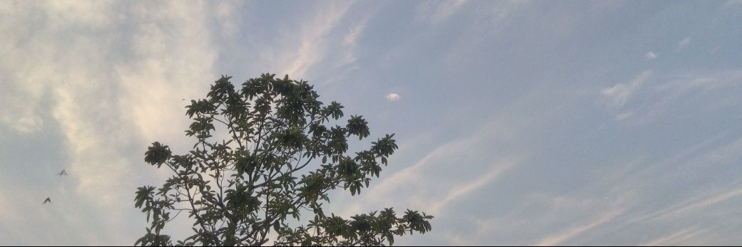 Right Dawn banner
