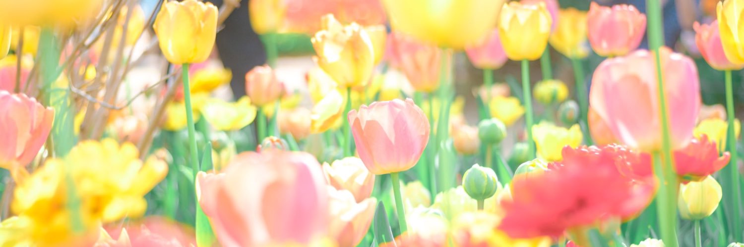 miii♡*＊・ banner