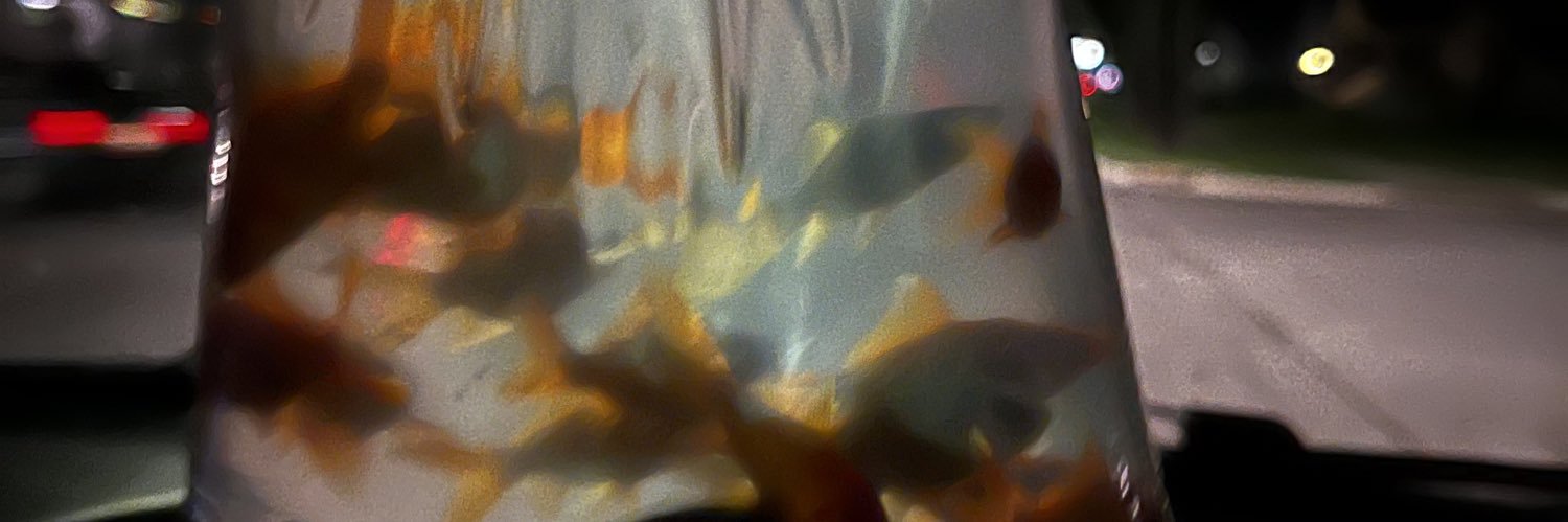 blakemorris105's profile banner image