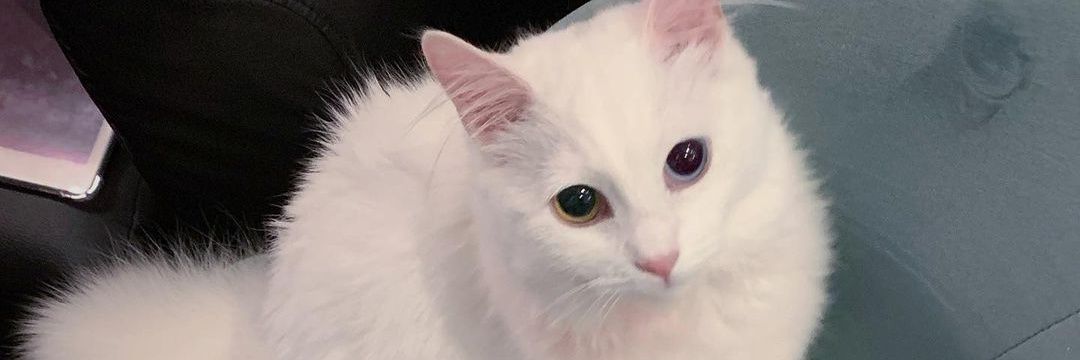 unique thoughts upgrade people banner