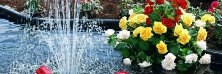 شركة نقل عفش بالرياض تخزين اثاث banner