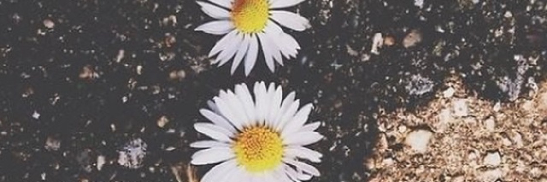 BCxoxox's profile banner image